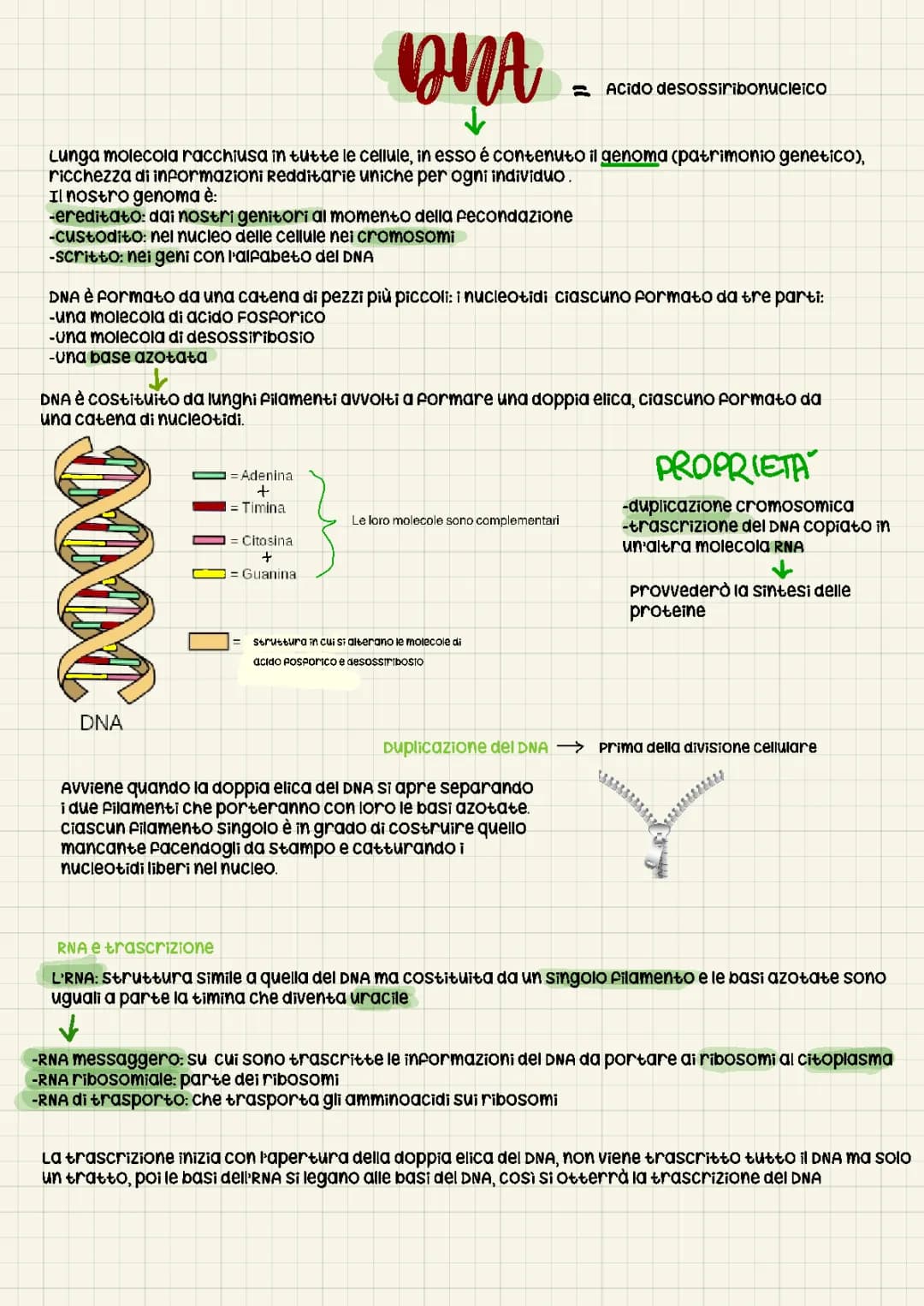 DNA
