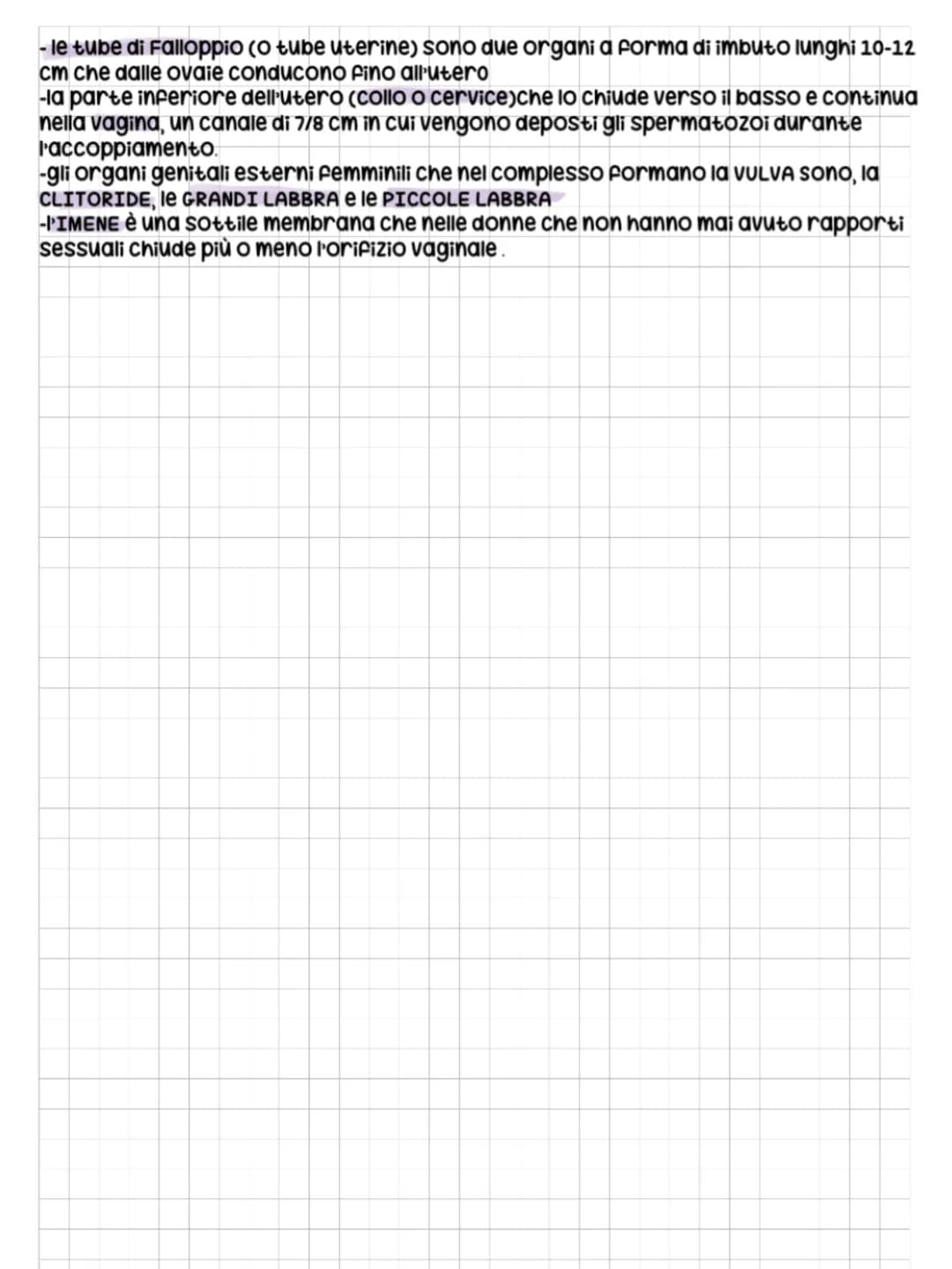 APPARATO RIPRODUTTORE_scienze/anatomia