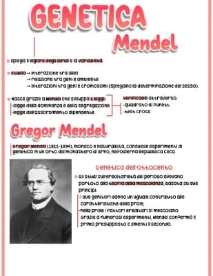 Know Genetica-Mendel thumbnail