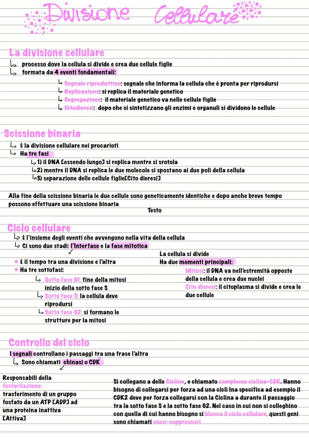 Divisione
La divisione cellulare
L> processo dove la cellula si divide e crea due cellule figlie
L₂ formata da 4 eventi fondamentali:
↳₂ Seg