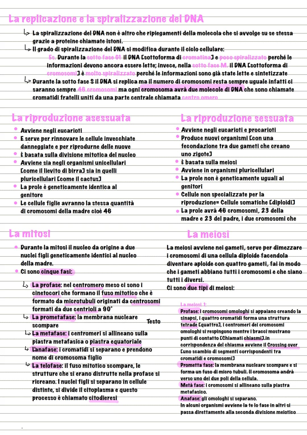 Divisione
La divisione cellulare
L> processo dove la cellula si divide e crea due cellule figlie
L₂ formata da 4 eventi fondamentali:
↳₂ Seg