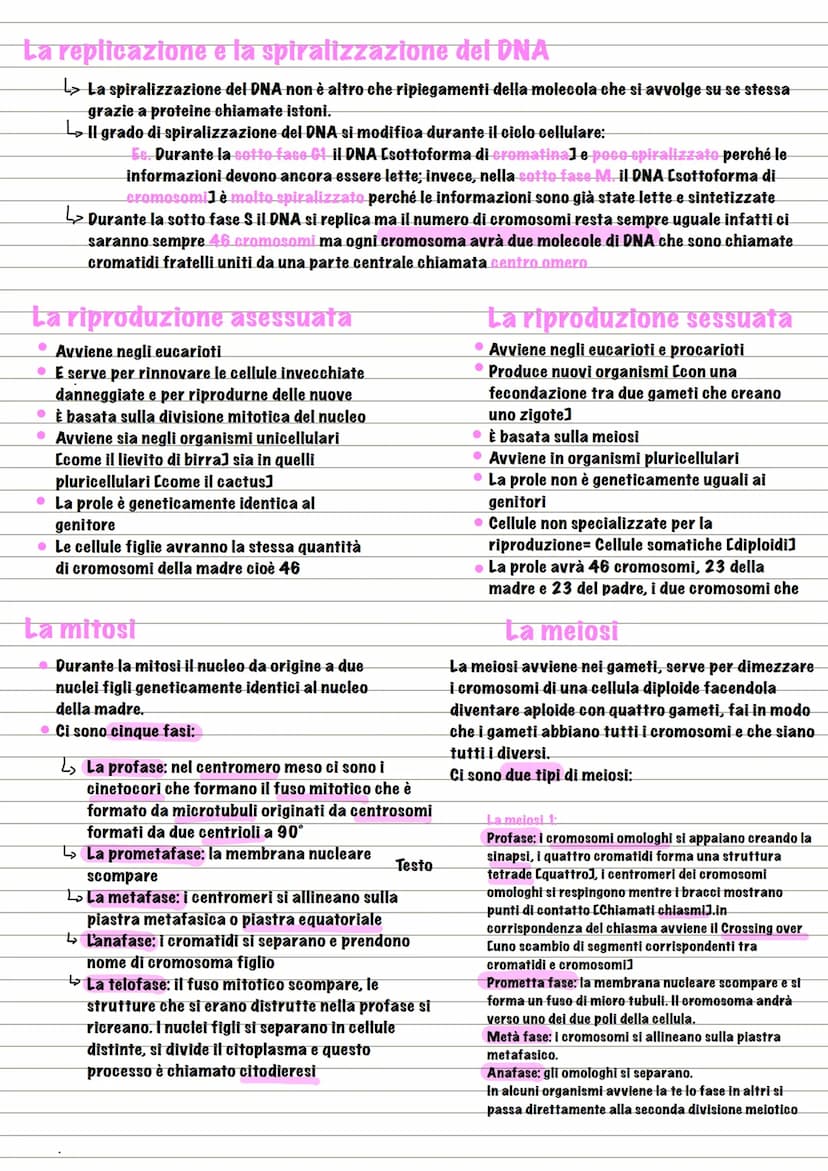 Divisione
La divisione cellulare
L> processo dove la cellula si divide e crea due cellule figlie
L₂ formata da 4 eventi fondamentali:
↳₂ Seg