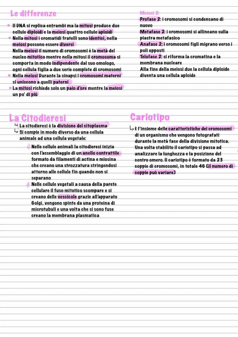 Divisione
La divisione cellulare
L> processo dove la cellula si divide e crea due cellule figlie
L₂ formata da 4 eventi fondamentali:
↳₂ Seg