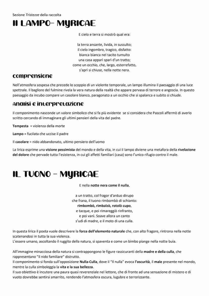 Sezione Tristezze della raccolta
TEMPORALE - MYRICAE
Un bubbolìo lontano...
comprensione
Il temporale viene descritto, inizialmente, attrave