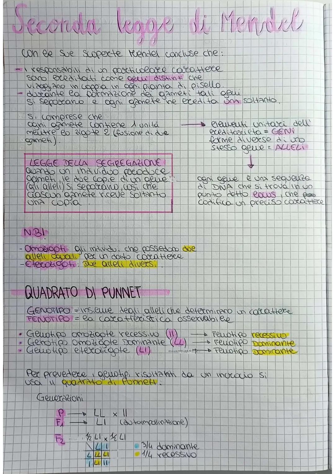# Prima legge di Mendel

GENETICA lo studio delle leggi e dei meccanismi che
permettono la trasmissione dei caratteri
da una generazione all