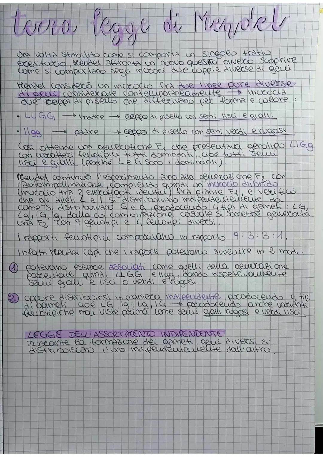 # Prima legge di Mendel

GENETICA lo studio delle leggi e dei meccanismi che
permettono la trasmissione dei caratteri
da una generazione all