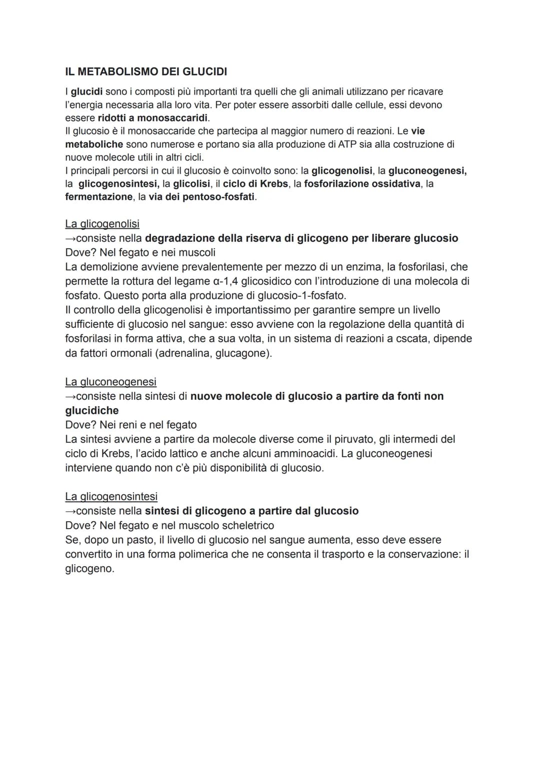 LA CATALISI ENZIMATICA E IL METABOLISMO
IL METABOLISMO: IL RUOLO DELL'ENERGIA
L'insieme delle reazioni che avvengono nelle cellule e nell'or