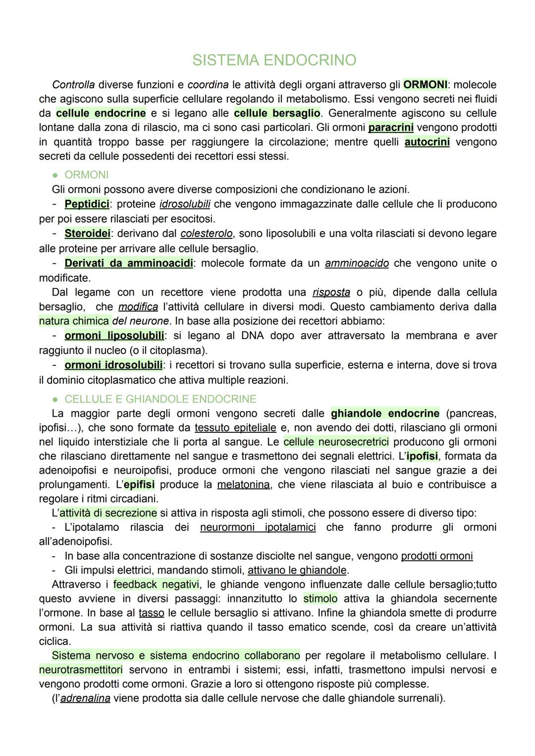 # SISTEMA ENDOCRINO

Controlla diverse funzioni e coordina le attività degli organi attraverso gli ORMONI: molecole
che agiscono sulla super