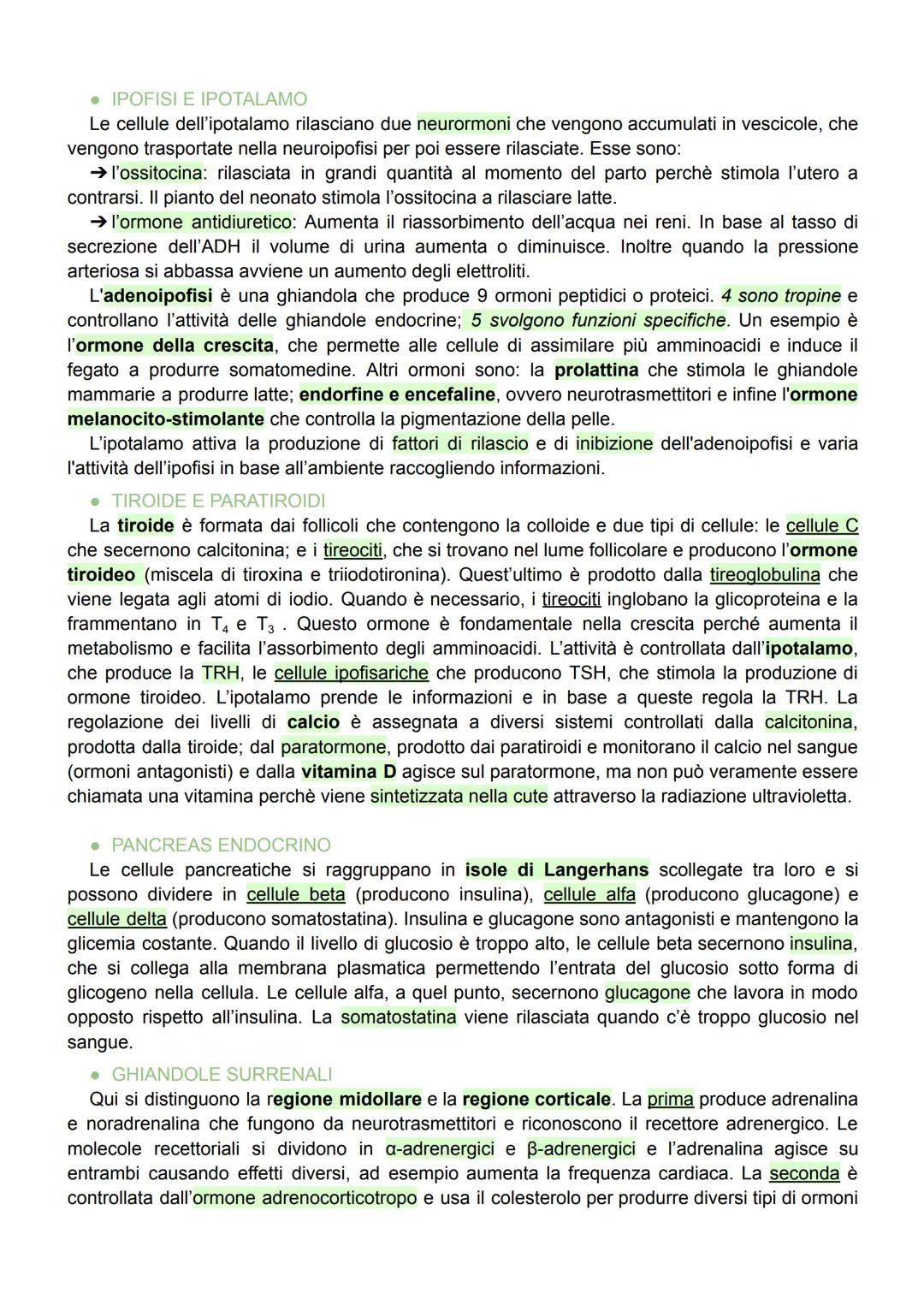 # SISTEMA ENDOCRINO

Controlla diverse funzioni e coordina le attività degli organi attraverso gli ORMONI: molecole
che agiscono sulla super