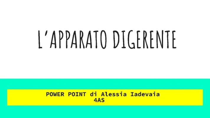 Know L'apparato digerente thumbnail