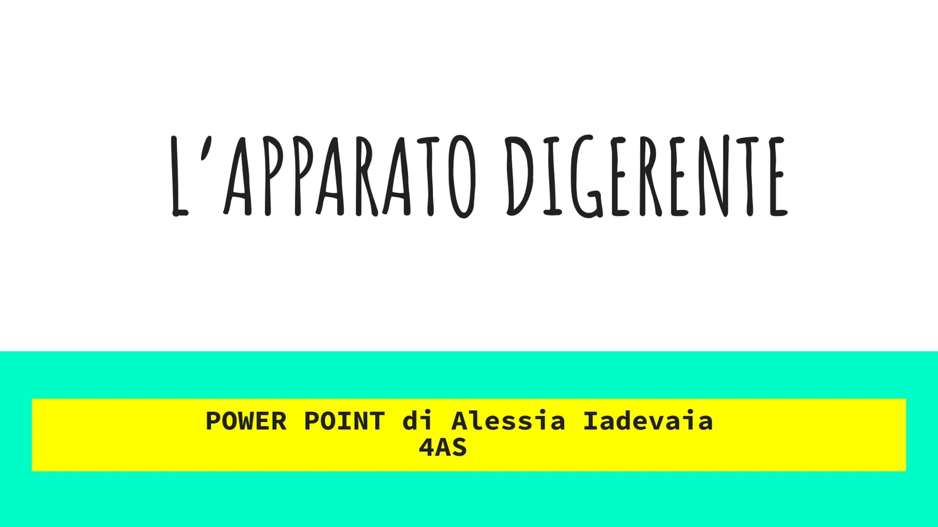 L'APPARATO DIGERENTE
POWER POINT di Alessia Iadevaia
4AS L'ALIMENTAZIONE E TRASFORMAZIONE DEL CIBO
TUTTI GLI ANIMALI SI NUTRONO DI ALTRI ESS