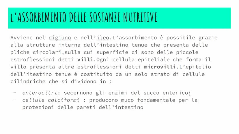 L'APPARATO DIGERENTE
POWER POINT di Alessia Iadevaia
4AS L'ALIMENTAZIONE E TRASFORMAZIONE DEL CIBO
TUTTI GLI ANIMALI SI NUTRONO DI ALTRI ESS