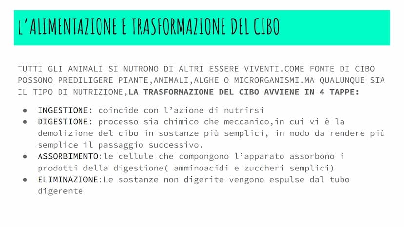 L'APPARATO DIGERENTE
POWER POINT di Alessia Iadevaia
4AS L'ALIMENTAZIONE E TRASFORMAZIONE DEL CIBO
TUTTI GLI ANIMALI SI NUTRONO DI ALTRI ESS