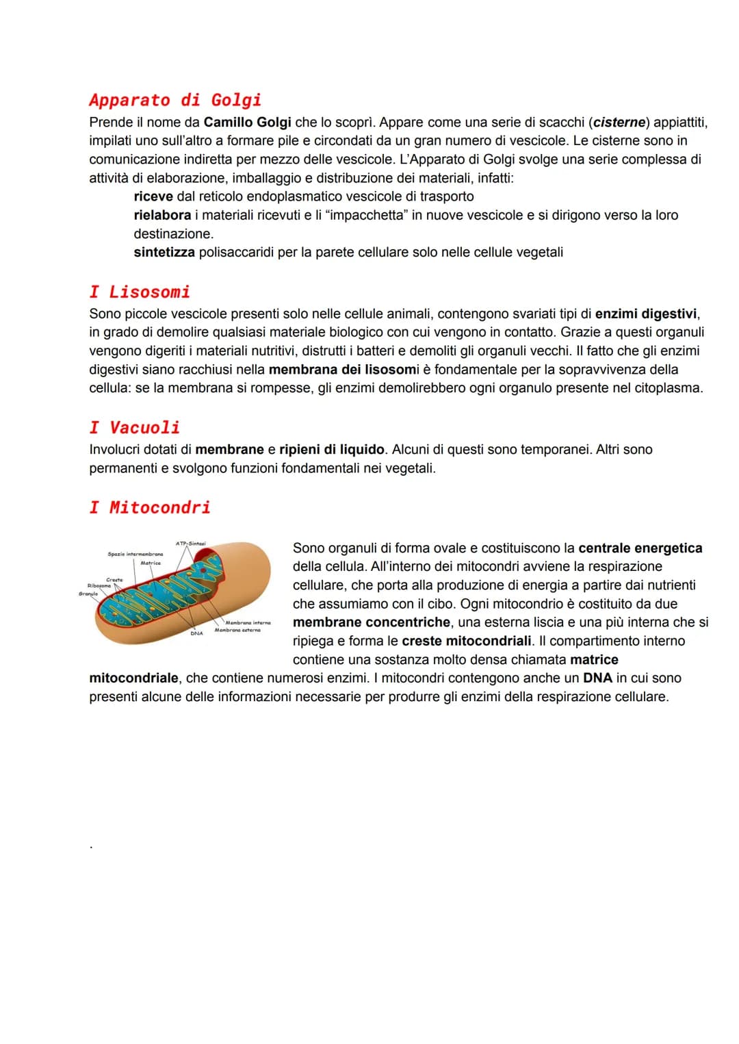 Cellula animale
All'interno di qualsiasi cellula eucariotica si individuano con facilità due settori:
Reticolo
endoplasmatico
ruvido
Ribosom