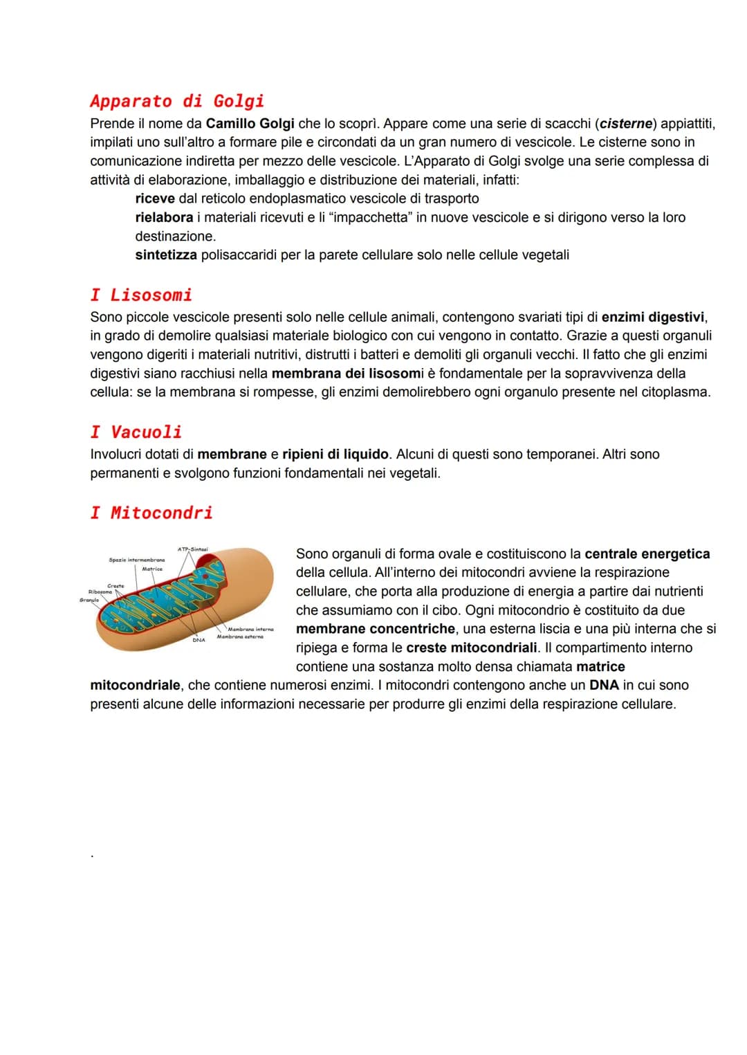 Cellula Animale Riassunto e Schema per Scuola Primaria e Scuola Media