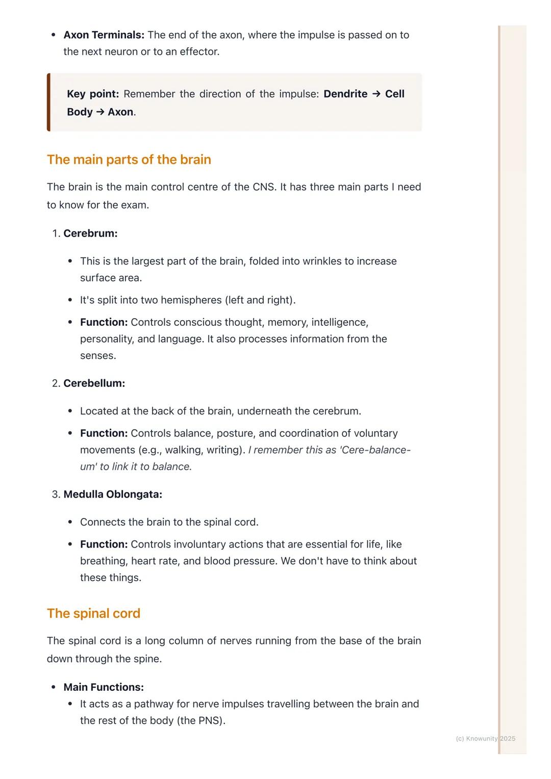 # The Nervous System

An introduction to the nervous system

The nervous system is our body's main control and communication system. It's
in