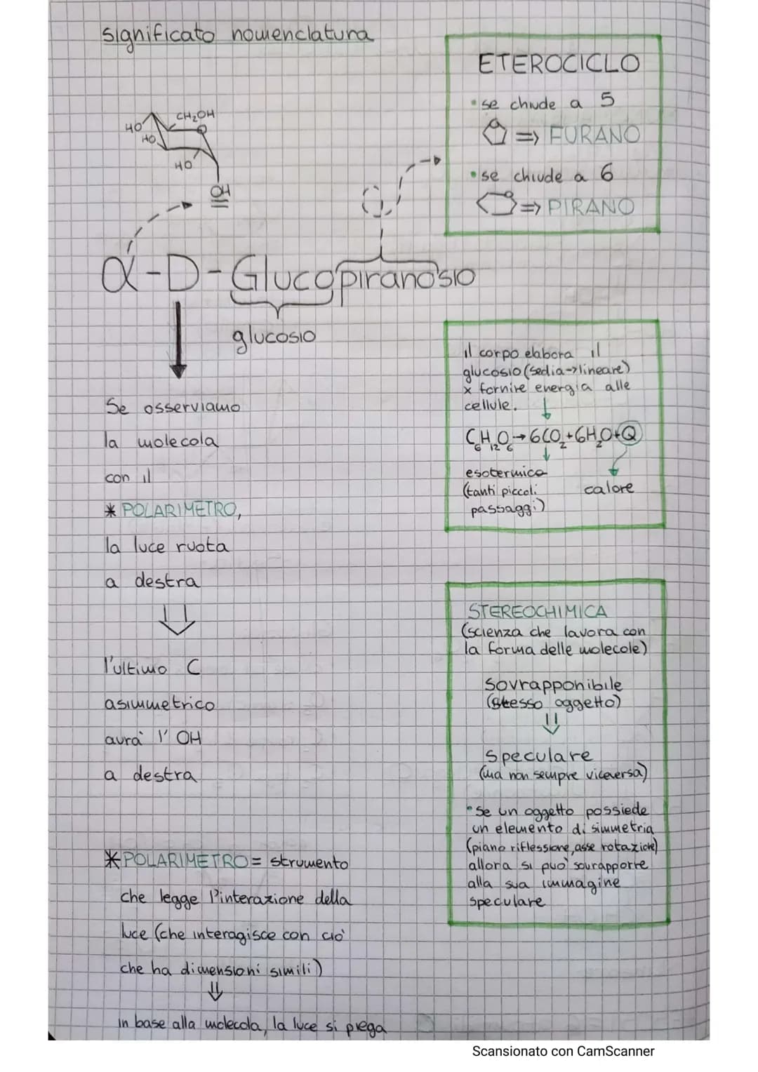 
<h2 id="glucose">Glucose</h2>
<p>Glucose has the formula C6H₁₂O6 and can be represented as a linear or a cyclic structure. In the linear st