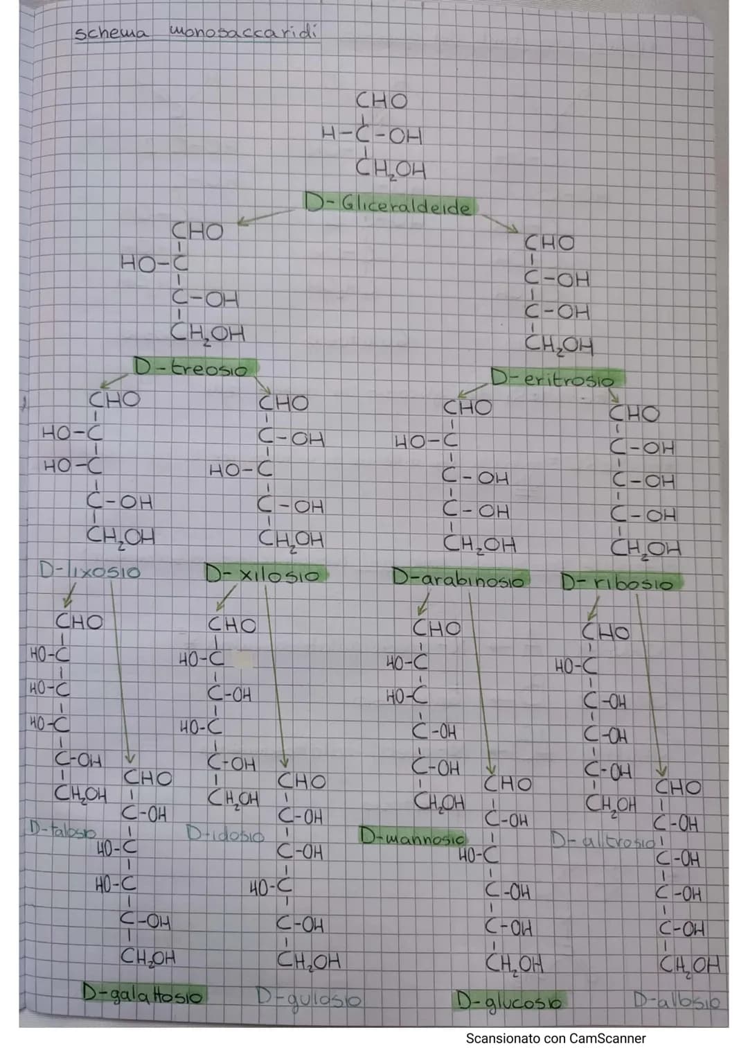 
<h2 id="glucose">Glucose</h2>
<p>Glucose has the formula C6H₁₂O6 and can be represented as a linear or a cyclic structure. In the linear st