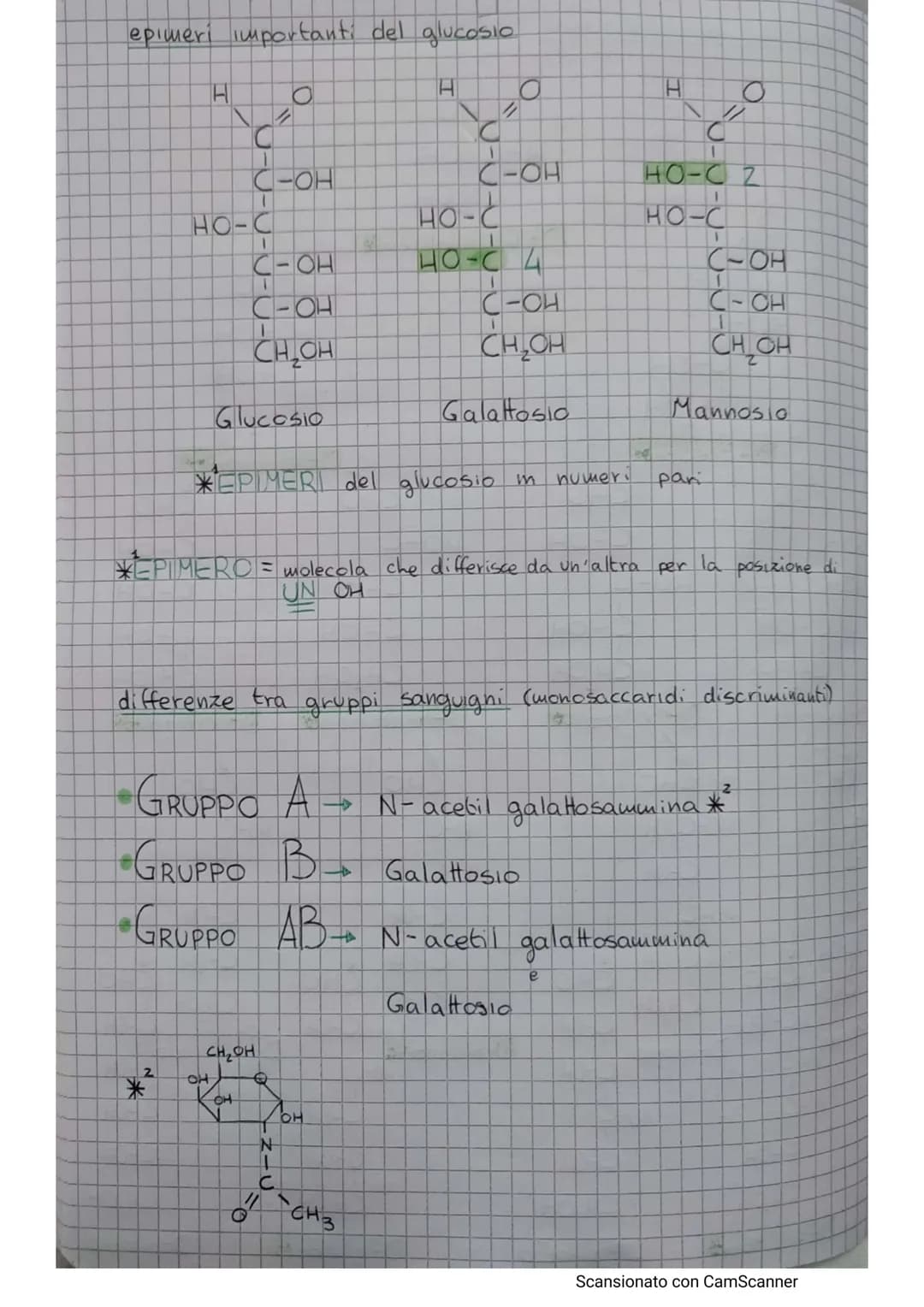 
<h2 id="glucose">Glucose</h2>
<p>Glucose has the formula C6H₁₂O6 and can be represented as a linear or a cyclic structure. In the linear st