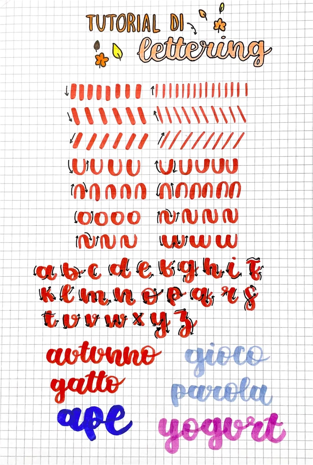 TUTORIAL DI
+ lettering
||||
//////
W U U U U U UUU
00000000000
10000
NNN
N N N N
w w w
a b c d e f g h i t
k l m n o p q r s
t u v w x y z
