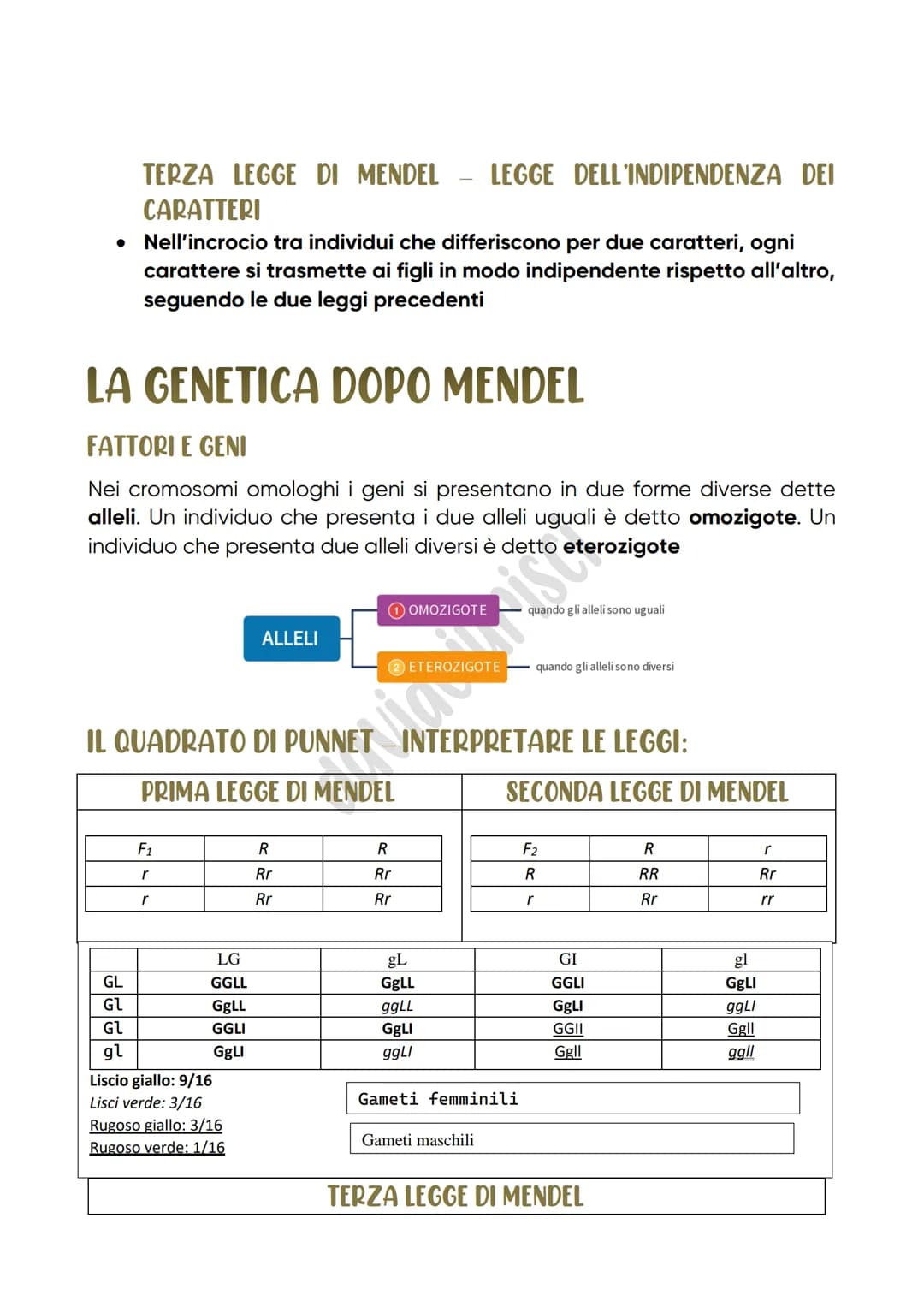Leggi di Mendel
LE ORIGINI DELLA GENETICA
Per spiegare i meccanismi che regolano la trasmissione
dei caratteri ereditari Mendel aveva ipotiz