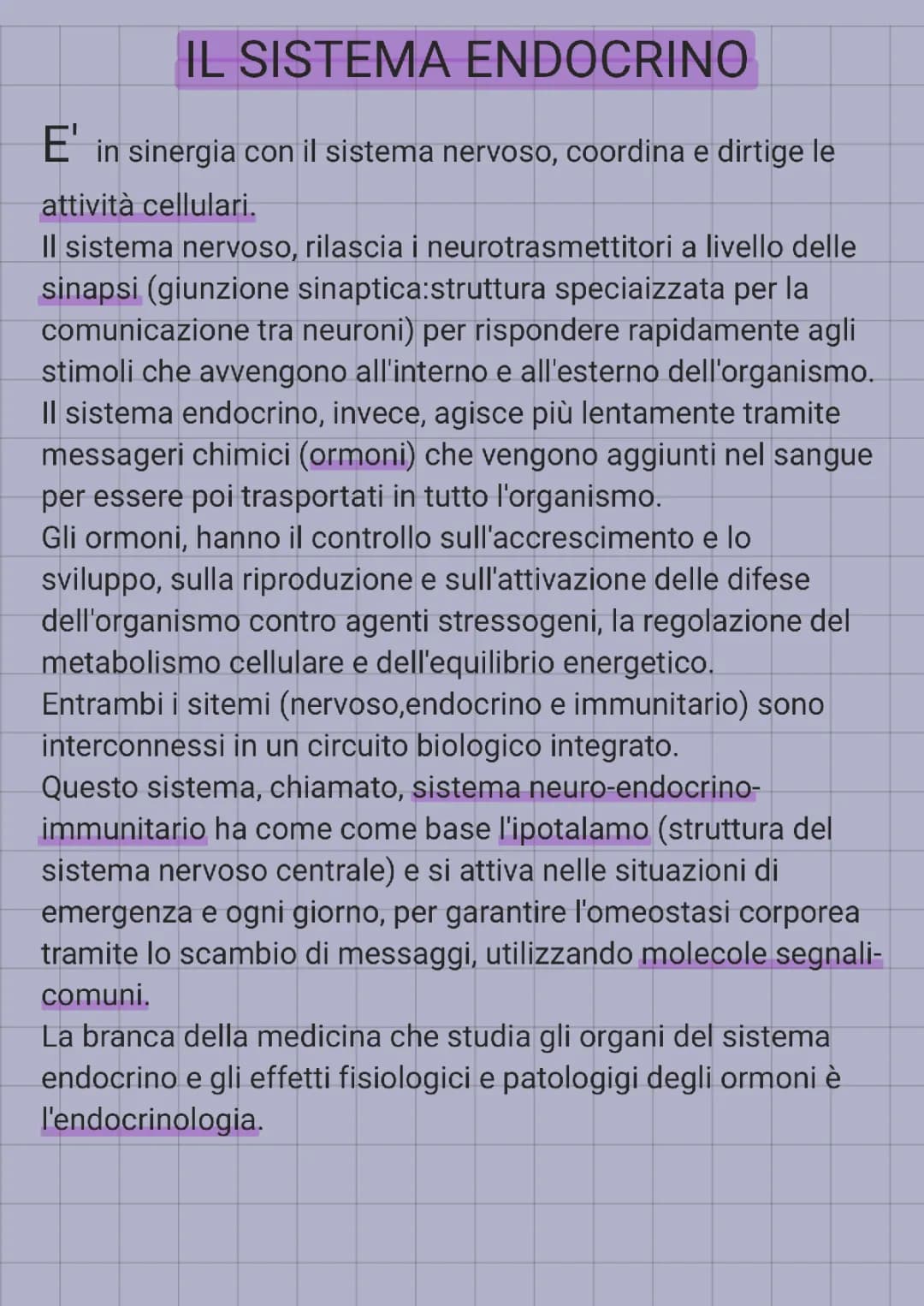 sistema endocrino