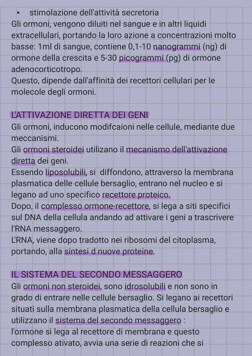 IL SISTEMA ENDOCRINO
E' in sinergia con il sistema nervoso, coordina e dirtige le
attività cellulari.
Il sistema nervoso, rilascia i neurotr