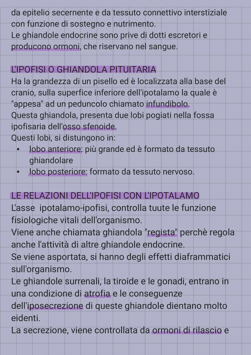 IL SISTEMA ENDOCRINO
E' in sinergia con il sistema nervoso, coordina e dirtige le
attività cellulari.
Il sistema nervoso, rilascia i neurotr