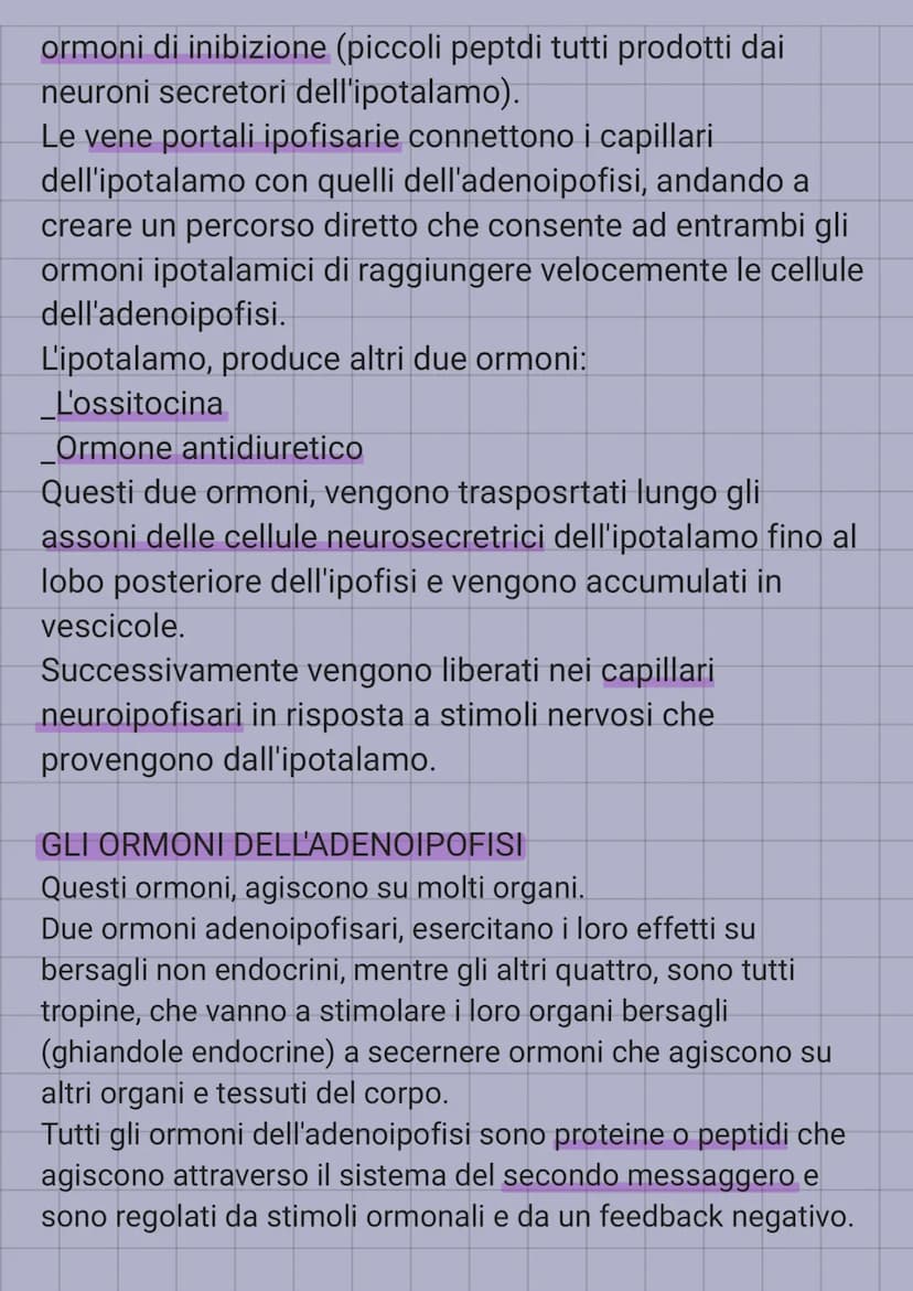 IL SISTEMA ENDOCRINO
E' in sinergia con il sistema nervoso, coordina e dirtige le
attività cellulari.
Il sistema nervoso, rilascia i neurotr