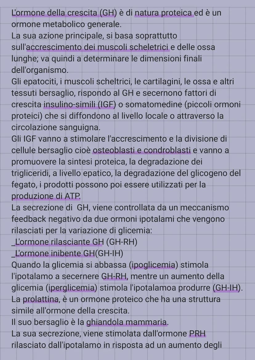 IL SISTEMA ENDOCRINO
E' in sinergia con il sistema nervoso, coordina e dirtige le
attività cellulari.
Il sistema nervoso, rilascia i neurotr