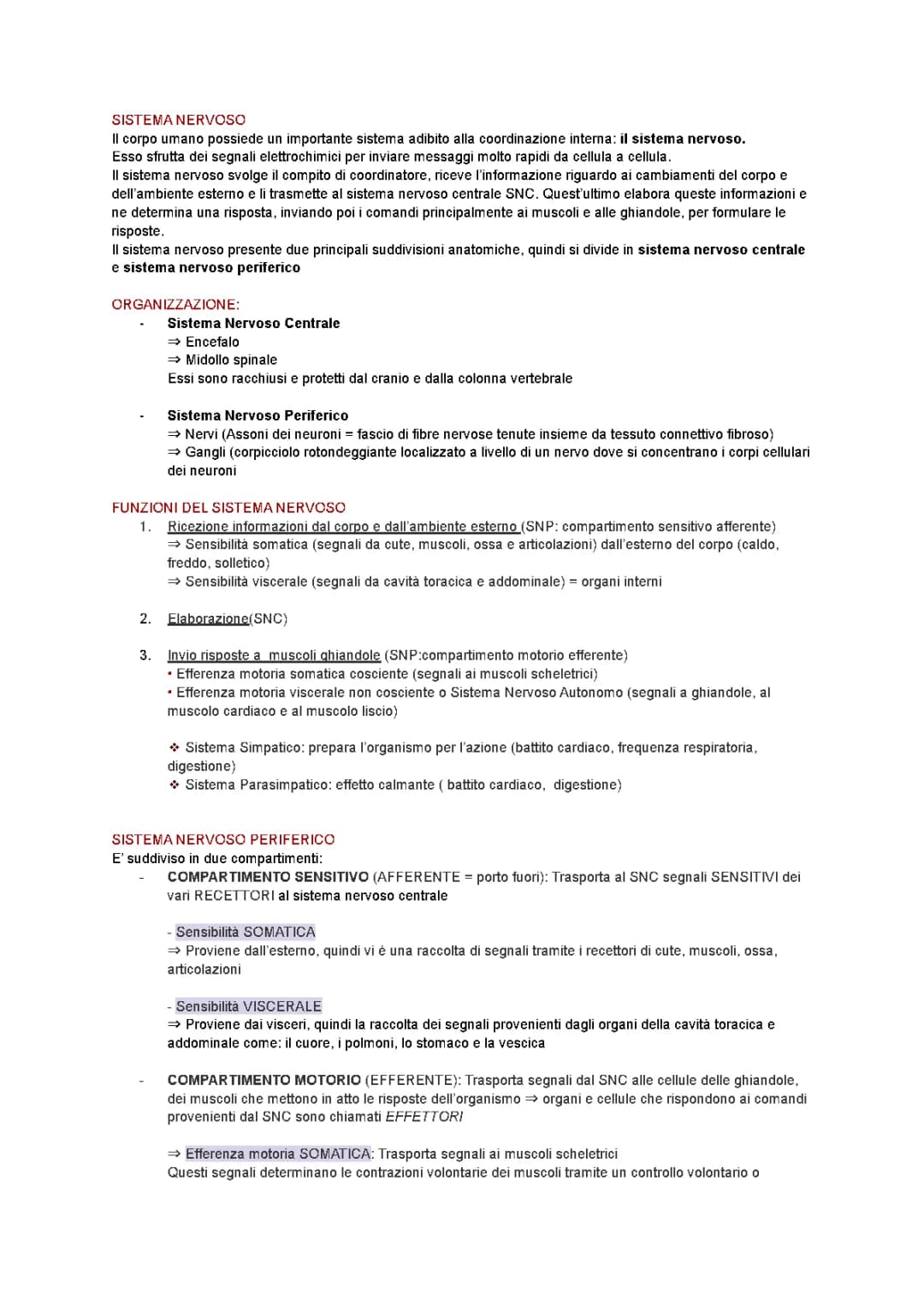 Sistema Nervoso completo