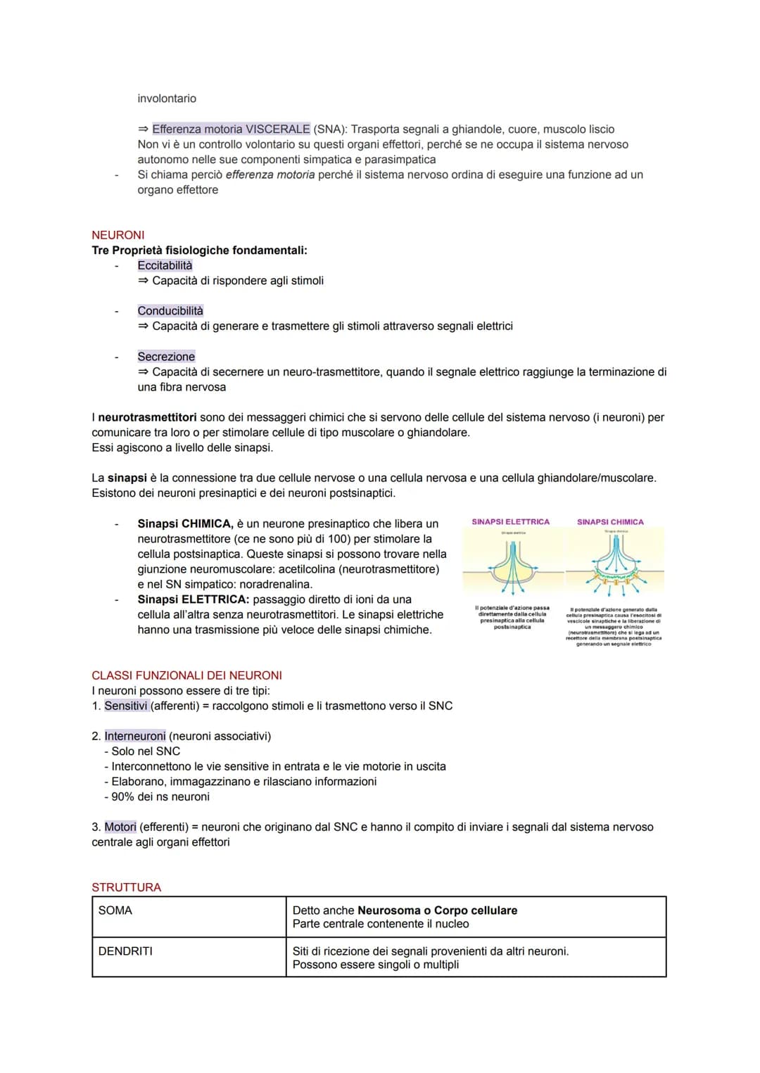 SISTEMA NERVOSO
Il corpo umano possiede un importante sistema adibito alla coordinazione interna: il sistema nervoso.
Esso sfrutta dei segna