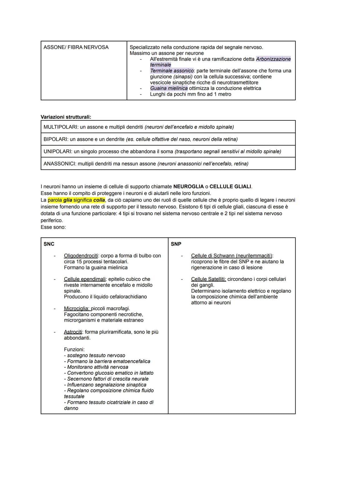 SISTEMA NERVOSO
Il corpo umano possiede un importante sistema adibito alla coordinazione interna: il sistema nervoso.
Esso sfrutta dei segna