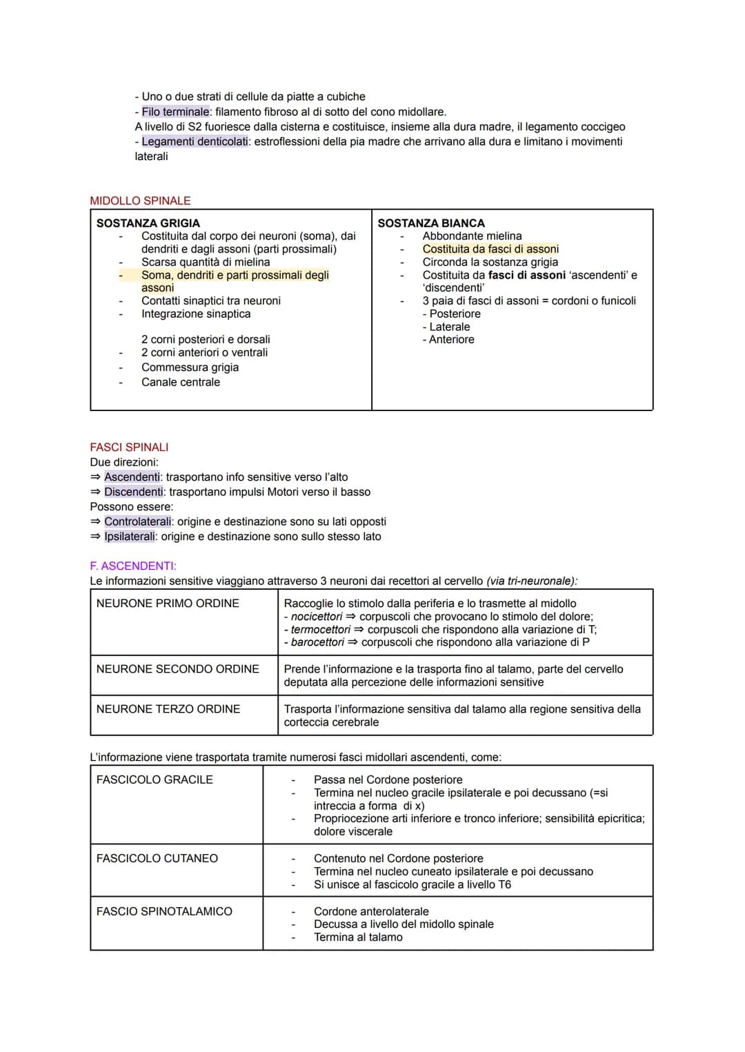 SISTEMA NERVOSO
Il corpo umano possiede un importante sistema adibito alla coordinazione interna: il sistema nervoso.
Esso sfrutta dei segna