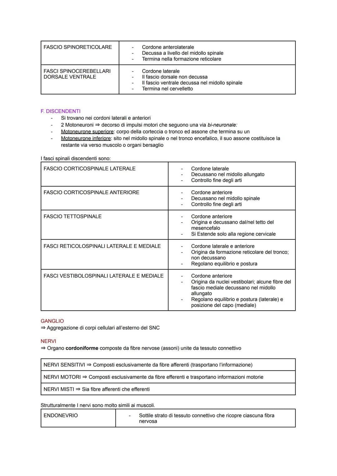 SISTEMA NERVOSO
Il corpo umano possiede un importante sistema adibito alla coordinazione interna: il sistema nervoso.
Esso sfrutta dei segna