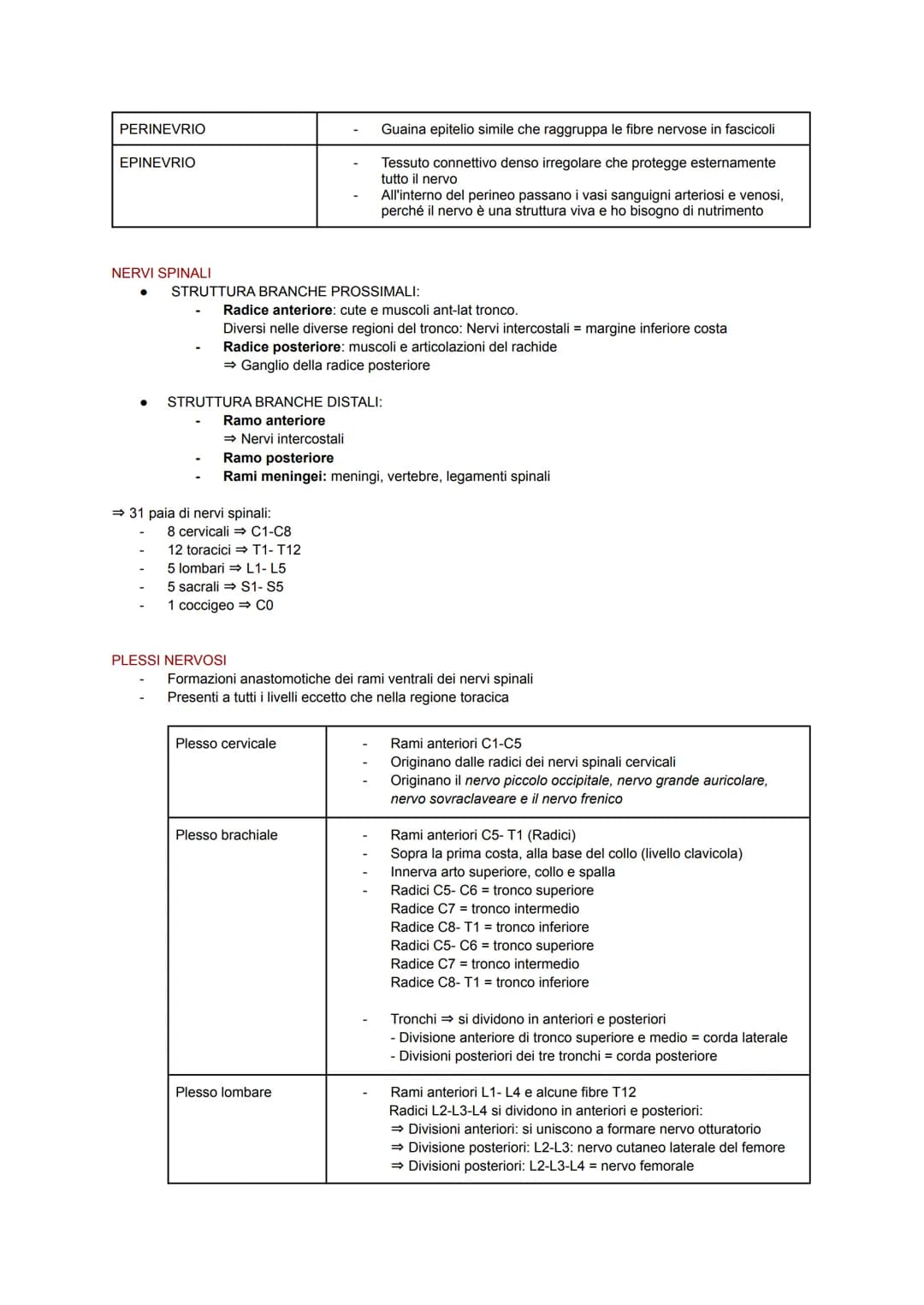 SISTEMA NERVOSO
Il corpo umano possiede un importante sistema adibito alla coordinazione interna: il sistema nervoso.
Esso sfrutta dei segna