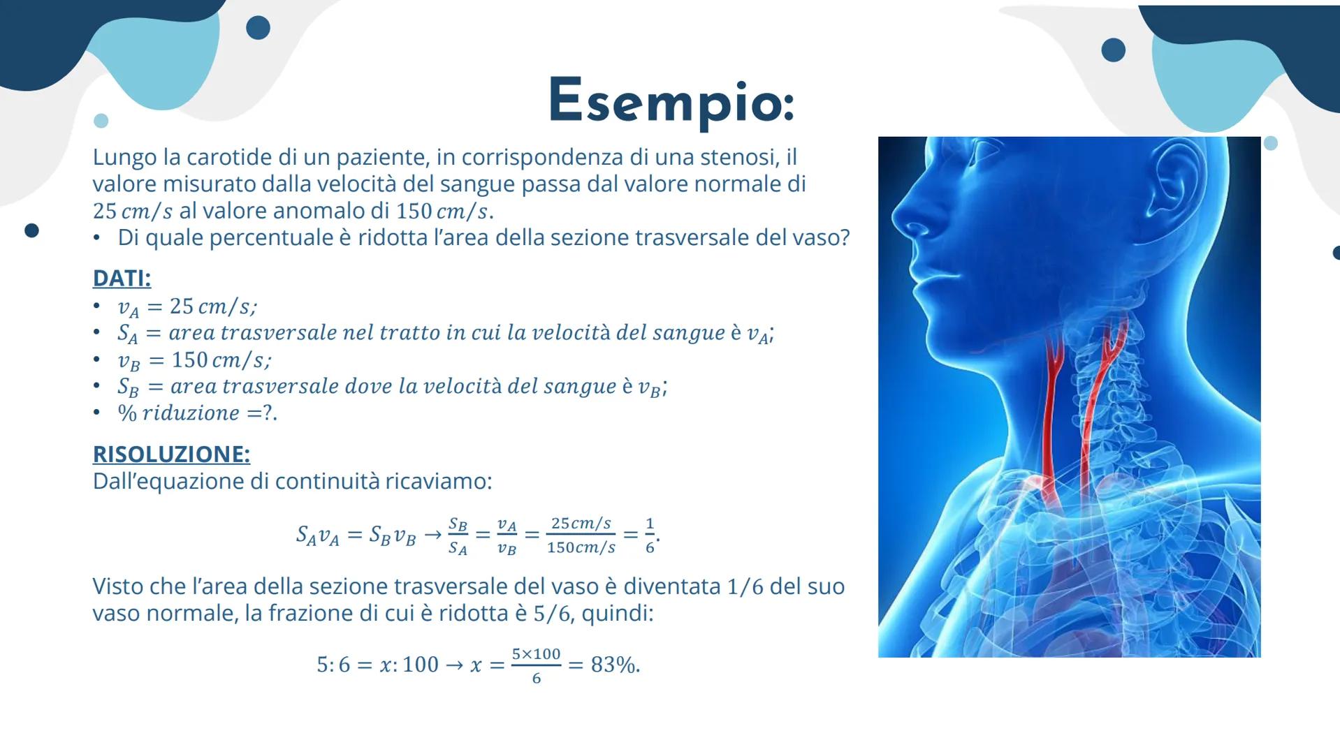 2° interrogazione di
fisica:
La meccanica dei fluidi, la temperatura e i gas... La meccanica dei
fluidi:
1. La corrente stazionaria di un fl