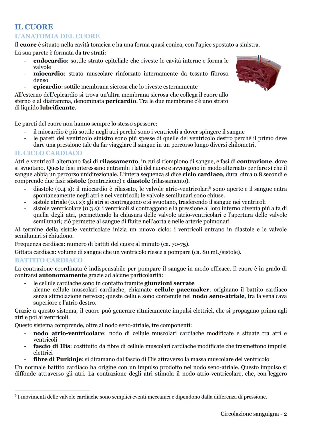 CIRCOLAZIONE SANGUIGNA
APPARATO CARDIOVASCOLARE
LA CIRCOLAZIONE NEI MAMMIFERI
L'apparato cardiovascolare (o circolatorio) trasporta nel sang
