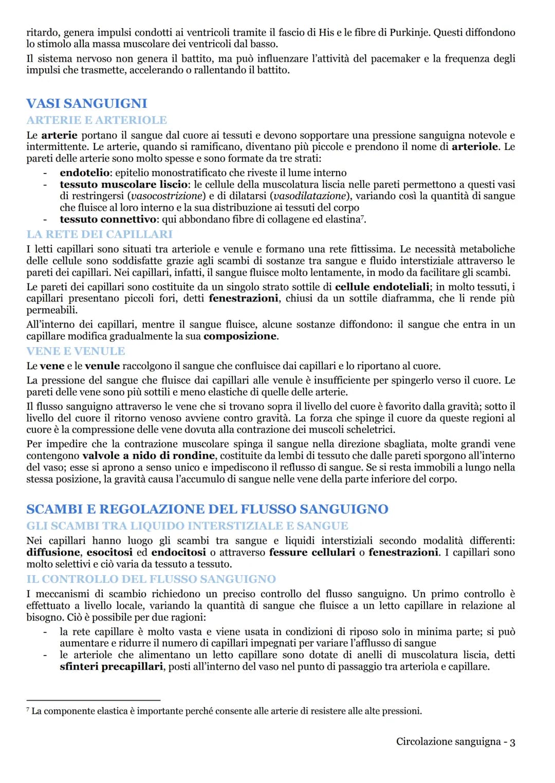 CIRCOLAZIONE SANGUIGNA
APPARATO CARDIOVASCOLARE
LA CIRCOLAZIONE NEI MAMMIFERI
L'apparato cardiovascolare (o circolatorio) trasporta nel sang