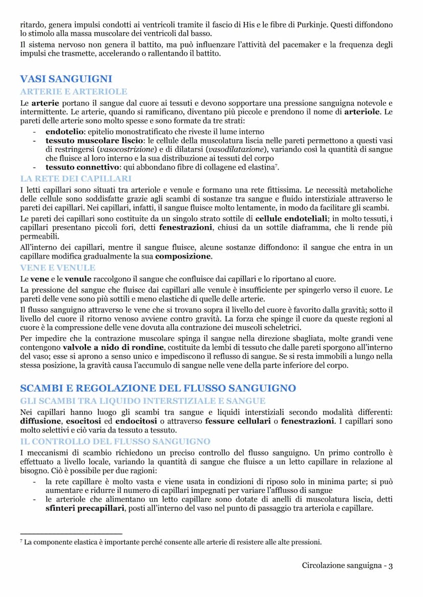 CIRCOLAZIONE SANGUIGNA
APPARATO CARDIOVASCOLARE
LA CIRCOLAZIONE NEI MAMMIFERI
L'apparato cardiovascolare (o circolatorio) trasporta nel sang