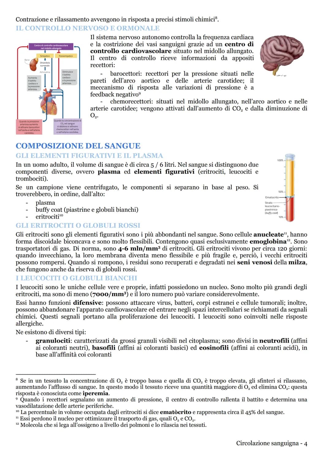 CIRCOLAZIONE SANGUIGNA
APPARATO CARDIOVASCOLARE
LA CIRCOLAZIONE NEI MAMMIFERI
L'apparato cardiovascolare (o circolatorio) trasporta nel sang