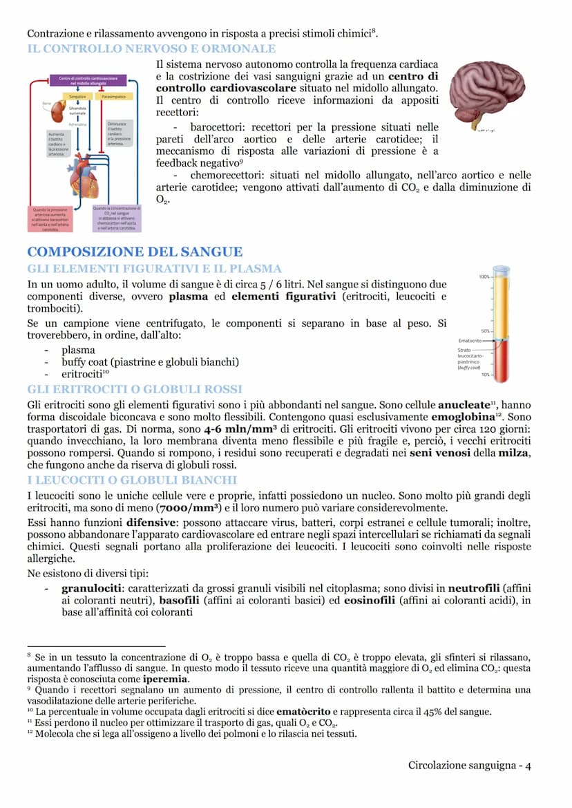 CIRCOLAZIONE SANGUIGNA
APPARATO CARDIOVASCOLARE
LA CIRCOLAZIONE NEI MAMMIFERI
L'apparato cardiovascolare (o circolatorio) trasporta nel sang