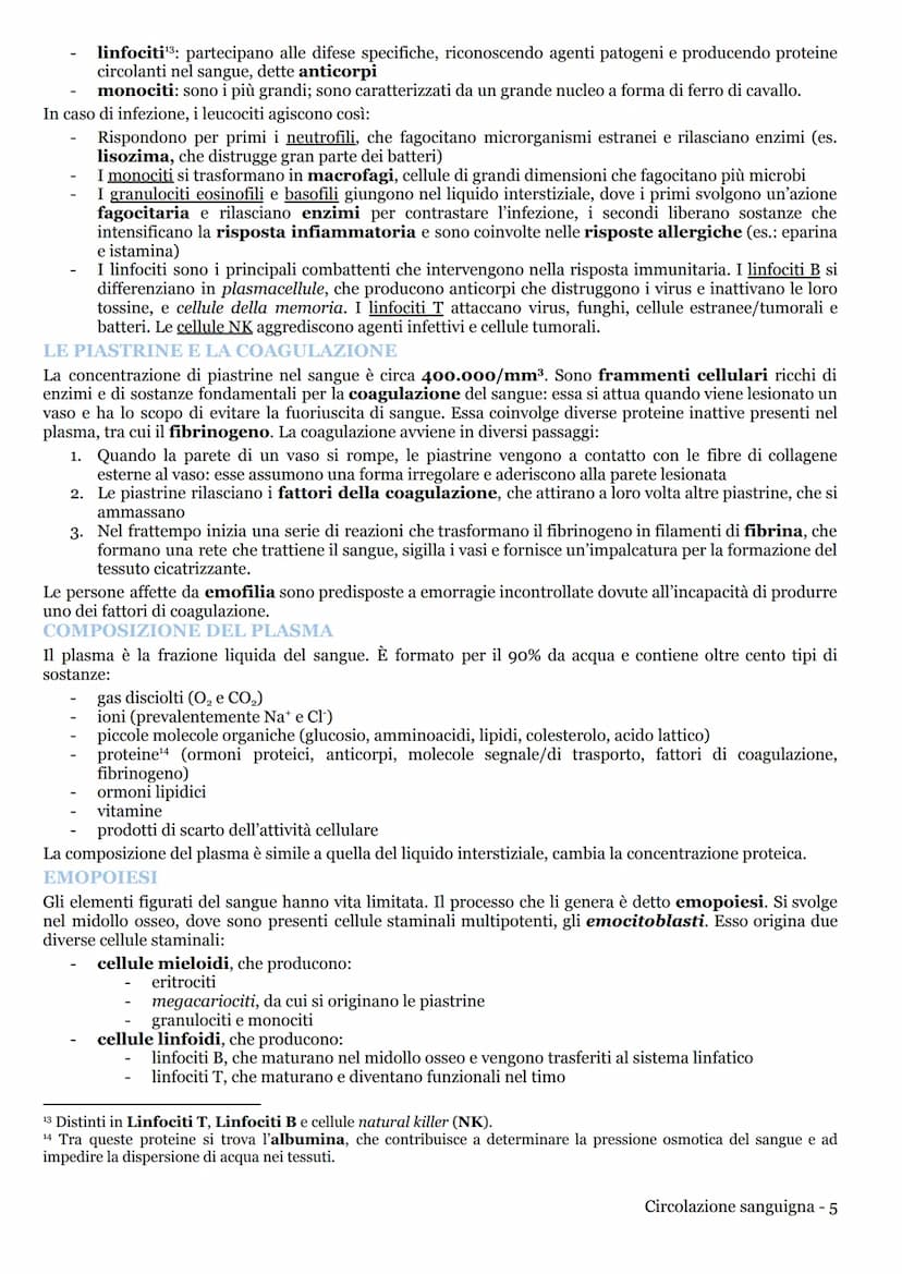 CIRCOLAZIONE SANGUIGNA
APPARATO CARDIOVASCOLARE
LA CIRCOLAZIONE NEI MAMMIFERI
L'apparato cardiovascolare (o circolatorio) trasporta nel sang