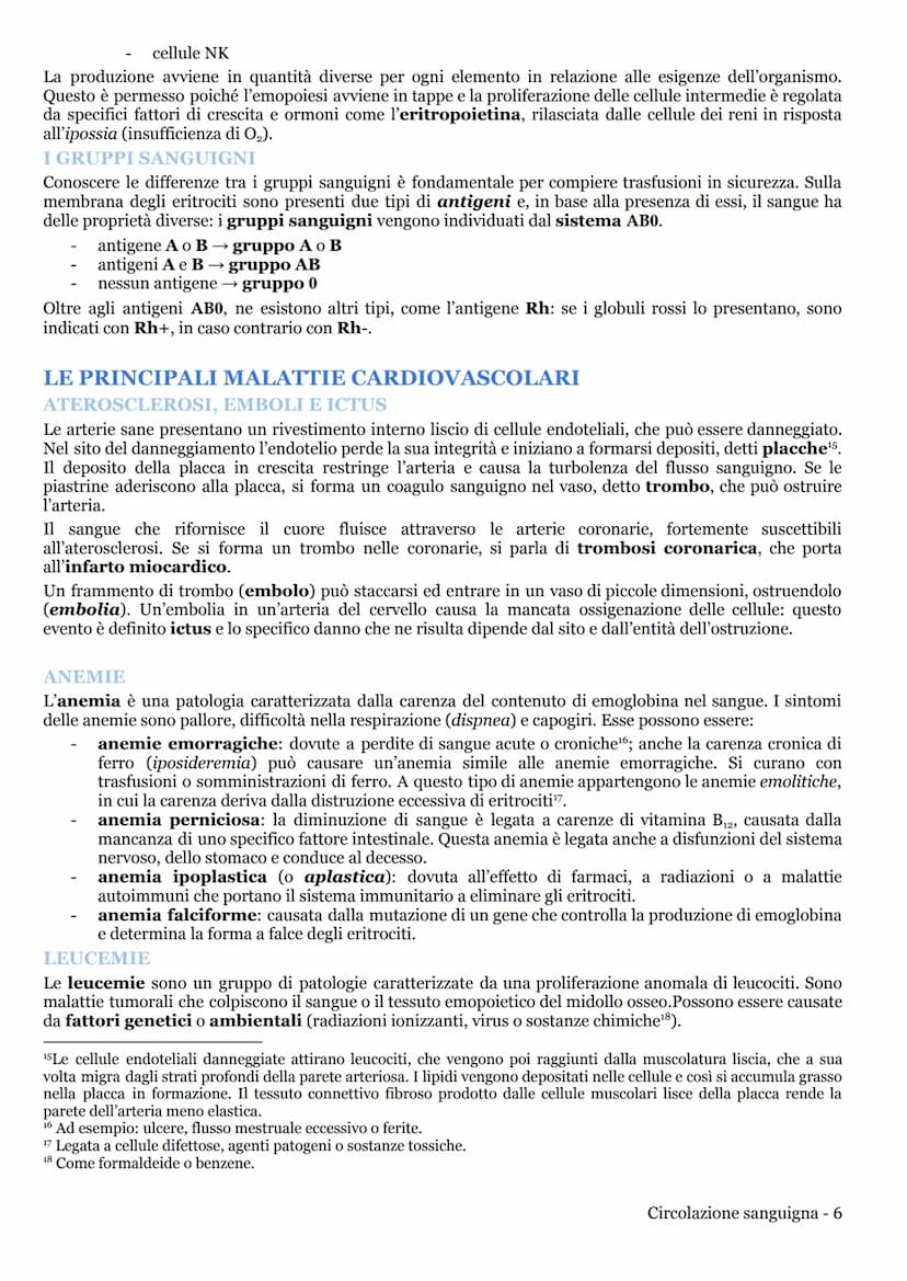 CIRCOLAZIONE SANGUIGNA
APPARATO CARDIOVASCOLARE
LA CIRCOLAZIONE NEI MAMMIFERI
L'apparato cardiovascolare (o circolatorio) trasporta nel sang