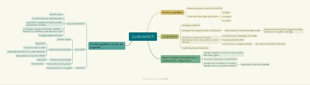 organelli e parete cellulare - biologia (materiale universitario - facoltà di farmacia) 💊