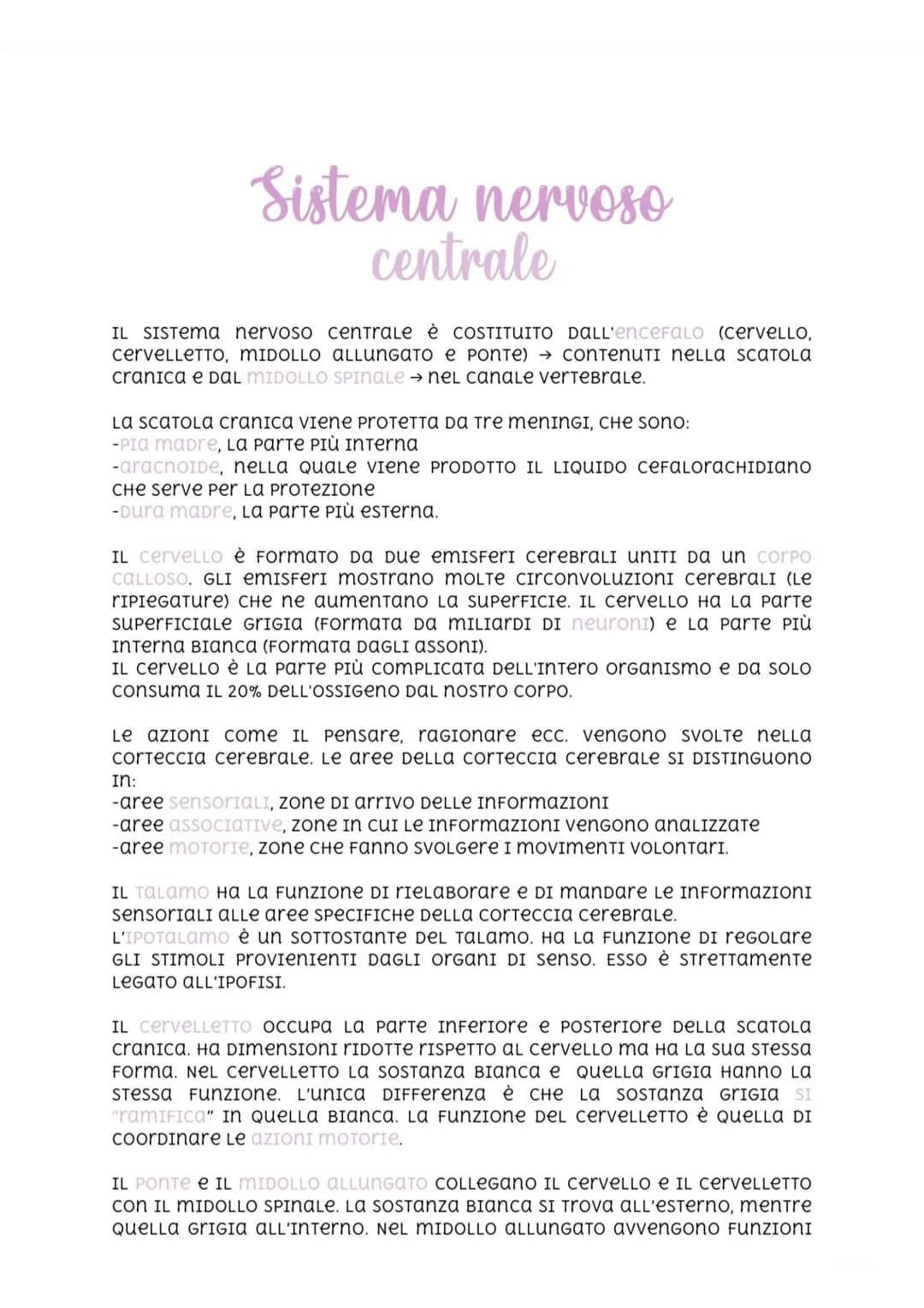 Sistema nervoso
centrale
IL SISTеma nervoso centrale è cOSTITUITO DALL'enceFALO (CerveLLO,
cerveLLeTTO, MIDOLLO ALLUNGATO E PONTе) → CONTENU