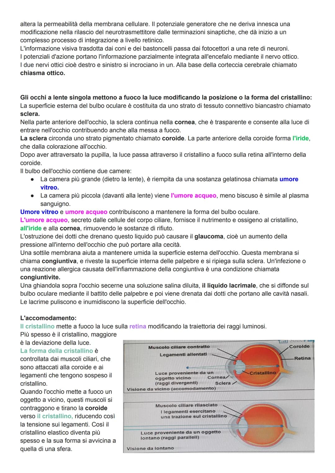 L'uomo nel corso dell'evoluzione ha sviluppato alcuni organi di senso (il meno evoluto e l'olfatto) come la
vista, l'udito e le percezioni t