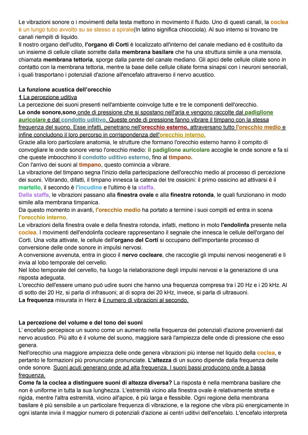 L'uomo nel corso dell'evoluzione ha sviluppato alcuni organi di senso (il meno evoluto e l'olfatto) come la
vista, l'udito e le percezioni t