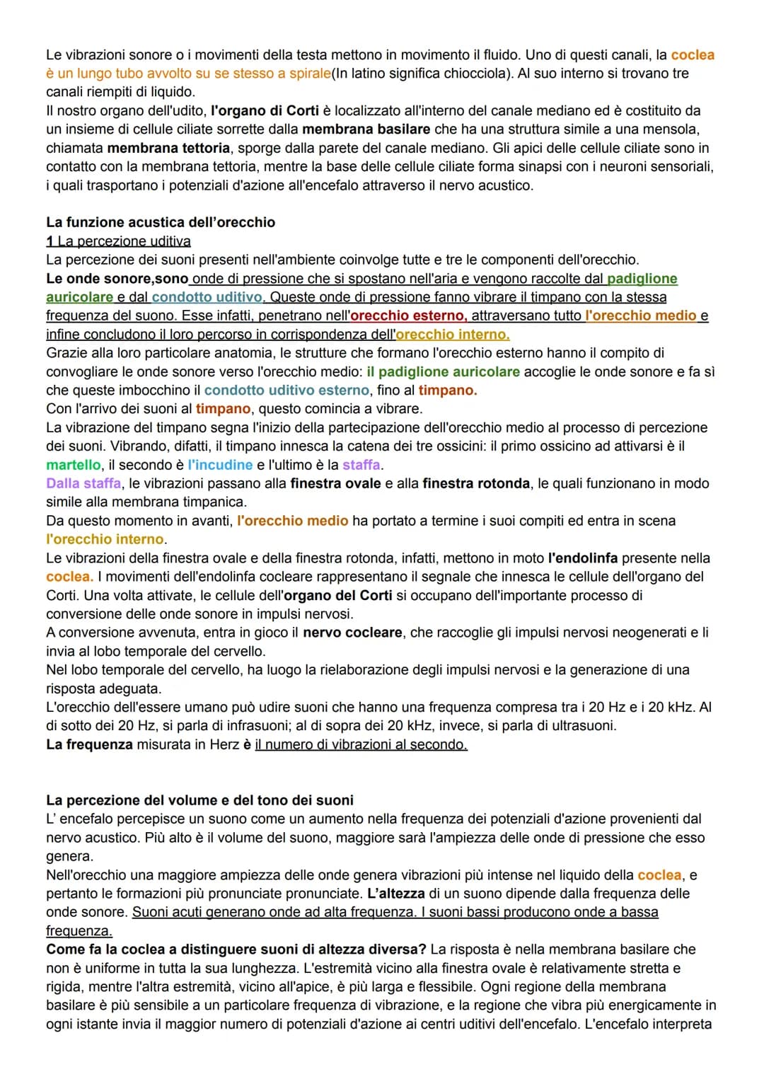 L'uomo nel corso dell'evoluzione ha sviluppato alcuni organi di senso (il meno evoluto e l'olfatto) come la
vista, l'udito e le percezioni t