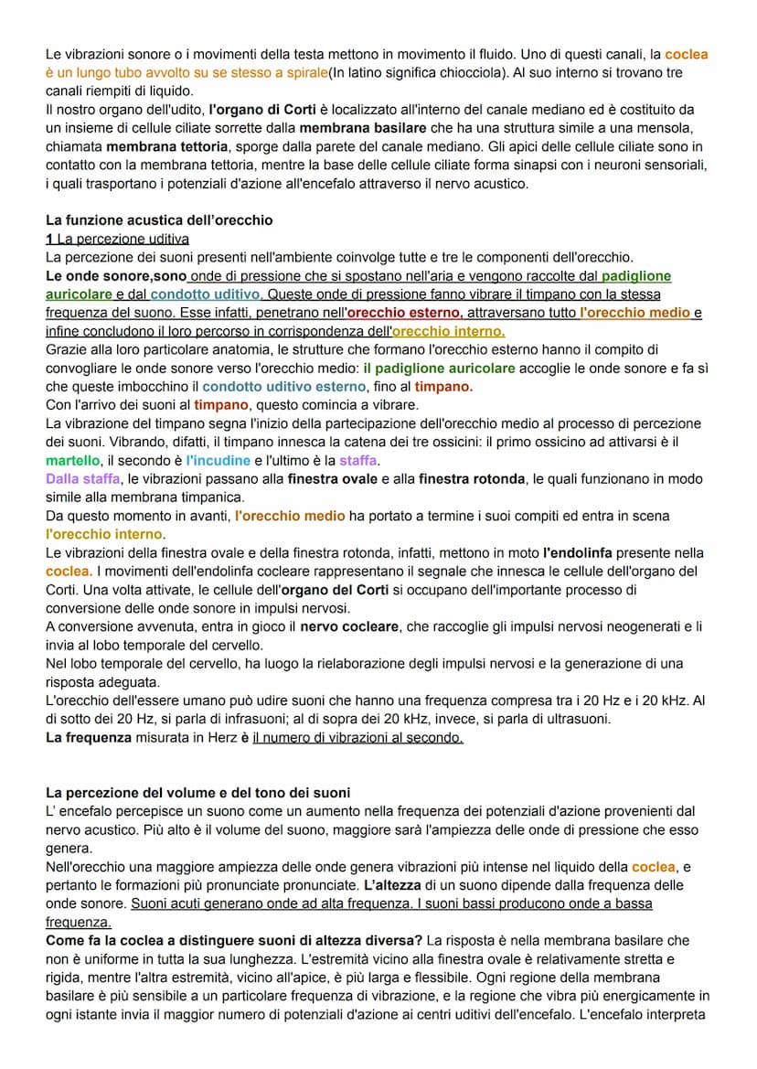 L'uomo nel corso dell'evoluzione ha sviluppato alcuni organi di senso (il meno evoluto e l'olfatto) come la
vista, l'udito e le percezioni t